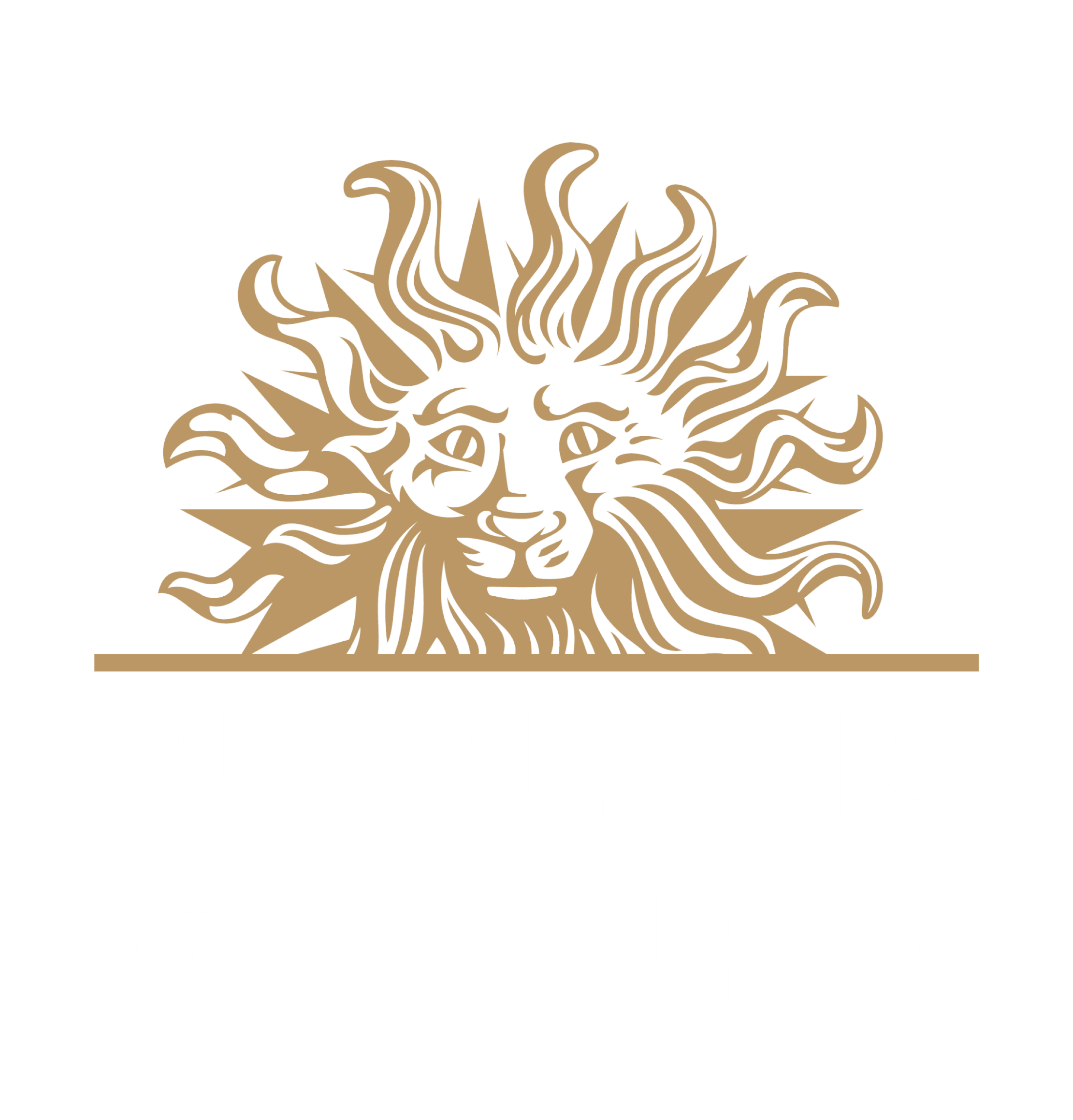 publicis-groupe